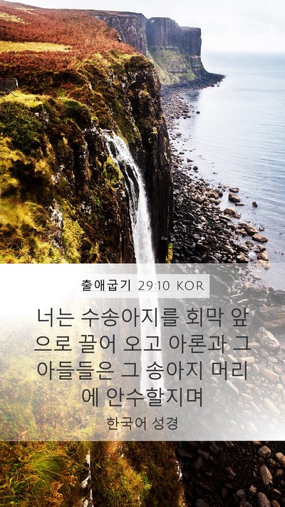 출애굽기 29:10 KOR Bible Verse Image