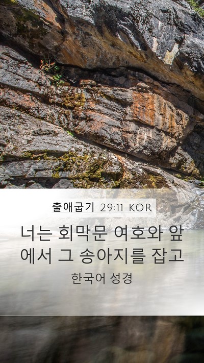 출애굽기 29:11 KOR Bible Verse Image
