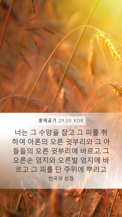 출애굽기 29:20 KOR Bible Verse Image