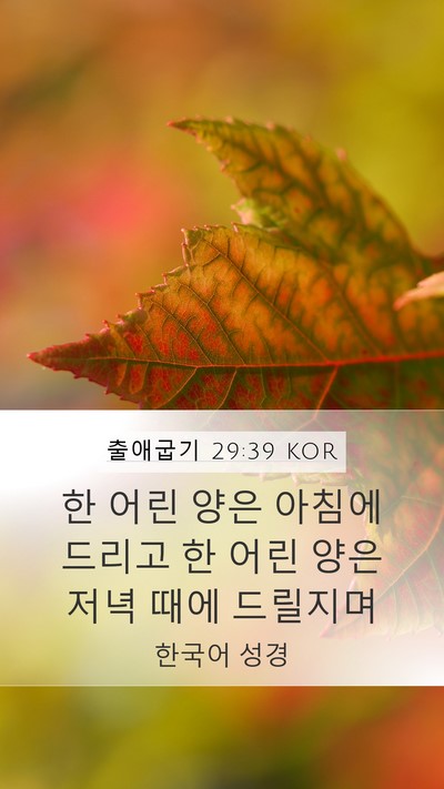 출애굽기 29:39 KOR Bible Verse Image