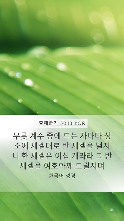 출애굽기 30:13 KOR Bible Verse Image