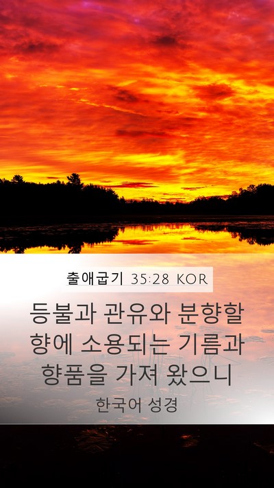 출애굽기 35:28 KOR Mobile Phone Wallpaper - 등불과 관유와 분향할 향에 소용되는 - Mobile Bible Verse Wallpaper