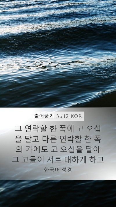 출애굽기 36:12 KOR Mobile Phone Wallpaper - 그 연락할 한 폭에 고 오십을 달고 - Mobile Bible Verse Wallpaper