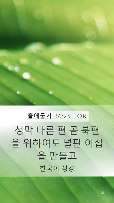 출애굽기 36:25 KOR Mobile Phone Wallpaper - 성막 다른 편 곧 북편을 위하여도 - Mobile Bible Verse Wallpaper