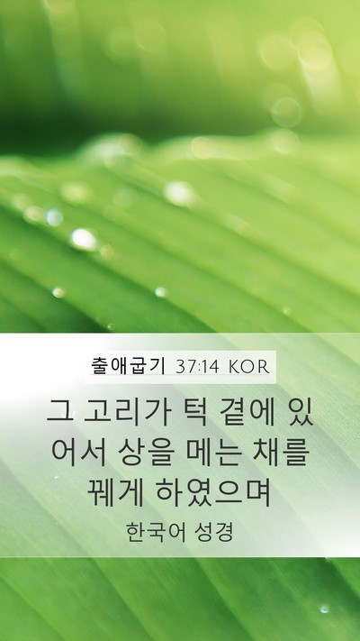 출애굽기 37:14 KOR Mobile Phone Wallpaper - 그 고리가 턱 곁에 있어서 상을 메는 - Mobile Bible Verse Wallpaper