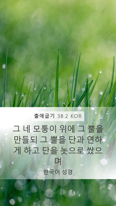 출애굽기 38:2 KOR Bible Verse Image