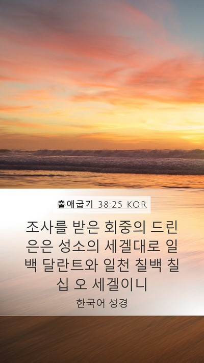 출애굽기 38:25 KOR Mobile Phone Wallpaper - 조사를 받은 회중의 드린 은은 - Mobile Bible Verse Wallpaper
