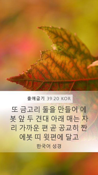 출애굽기 39:20 KOR Mobile Phone Wallpaper - 또 금고리 둘을 만들어 에봇 앞 두 - Mobile Bible Verse Wallpaper