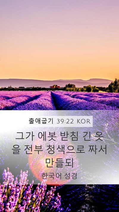 출애굽기 39:22 KOR Bible Verse Image