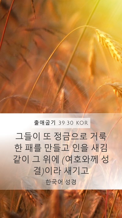출애굽기 39:30 KOR Bible Verse Image