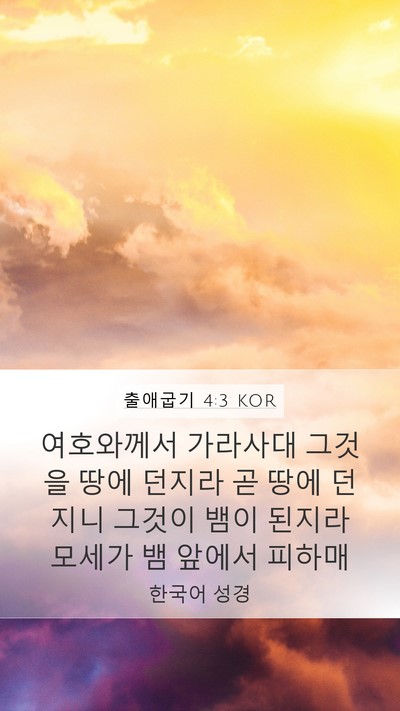 출애굽기 4:3 KOR Bible Verse Image