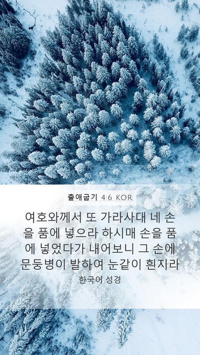 출애굽기 4:6 KOR Bible Verse Image