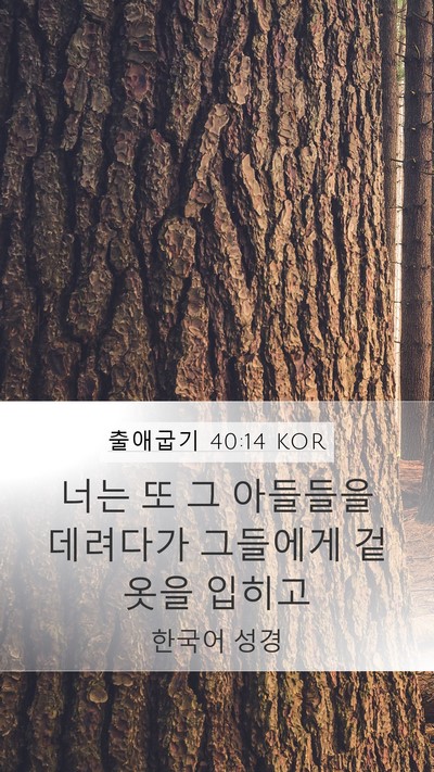 출애굽기 40:14 KOR Bible Verse Image