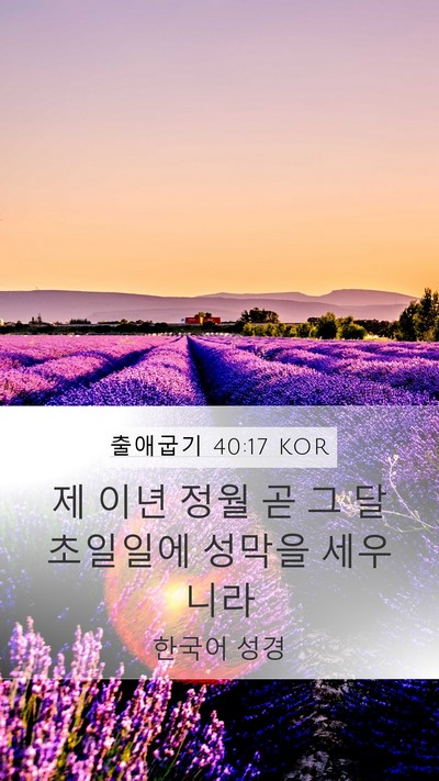 출애굽기 40:17 KOR Bible Verse Image