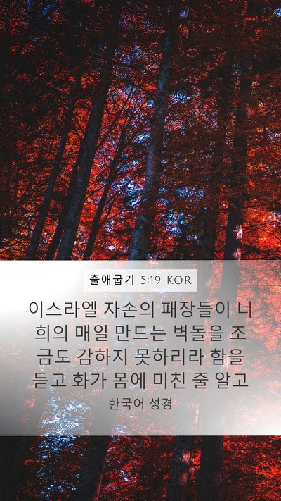 출애굽기 5:19 KOR Bible Verse Image