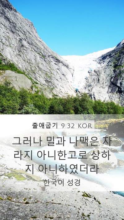 출애굽기 9:32 KOR Bible Verse Image
