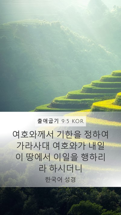 출애굽기 9:5 KOR Bible Verse Image