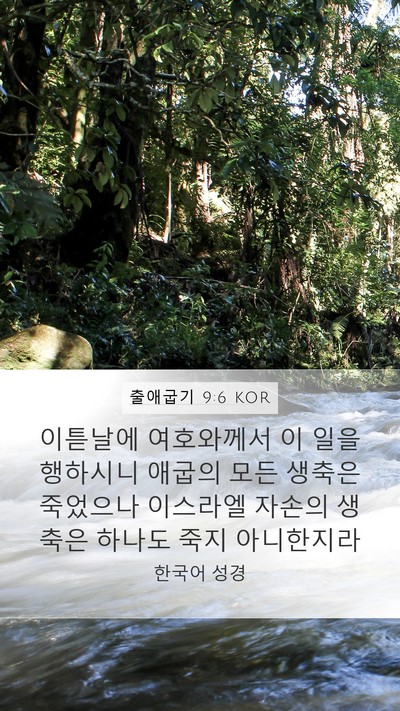 출애굽기 9:6 KOR Bible Verse Image