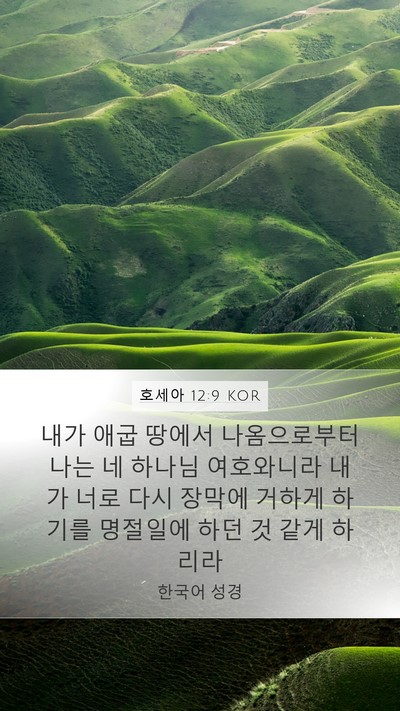 호세아 12:9 KOR Bible Verse Image