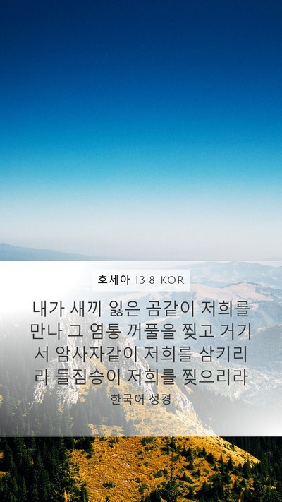 호세아 13:8 KOR Bible Verse Image