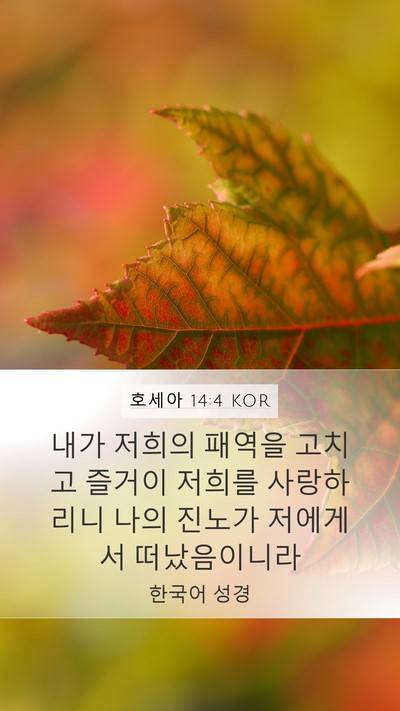 호세아 14:4 KOR Bible Verse Image