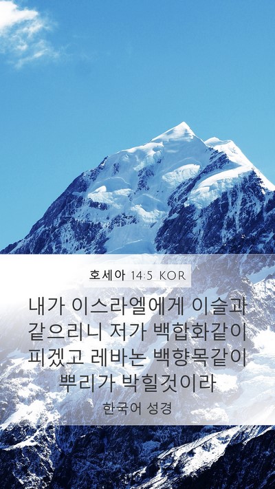 호세아 14:5 KOR Bible Verse Image