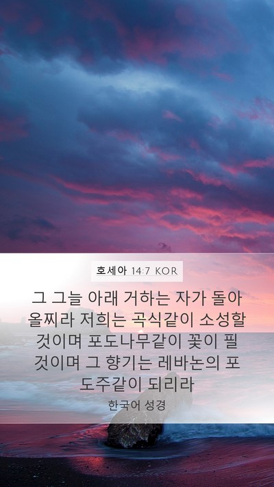 호세아 14:7 KOR Bible Verse Image