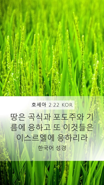 호세아 2:22 KOR Bible Verse Image