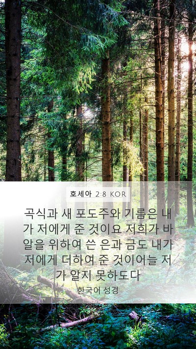 호세아 2:8 KOR Bible Verse Image