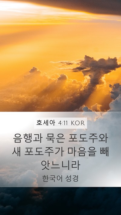 호세아 4:11 KOR Bible Verse Image