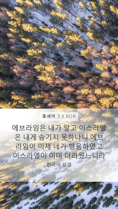 호세아 5:3 KOR Bible Verse Image
