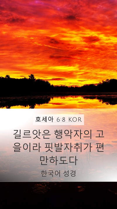 호세아 6:8 KOR Mobile Phone Wallpaper - 길르앗은 행악자의 고을이라 - Mobile Bible Verse Wallpaper