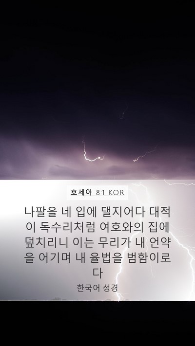 호세아 8:1 KOR Bible Verse Image