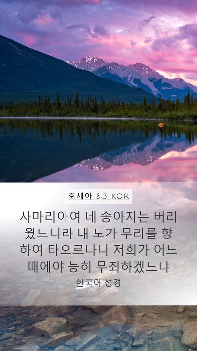 호세아 8:5 KOR Mobile Phone Wallpaper - 사마리아여 네 송아지는 - Mobile Bible Verse Wallpaper