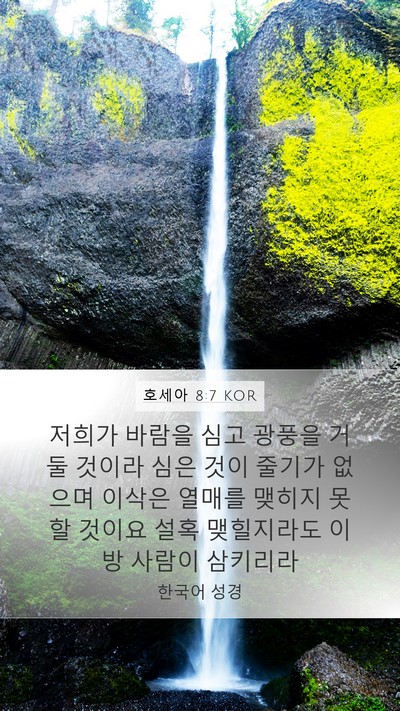 호세아 8:7 KOR Bible Verse Image