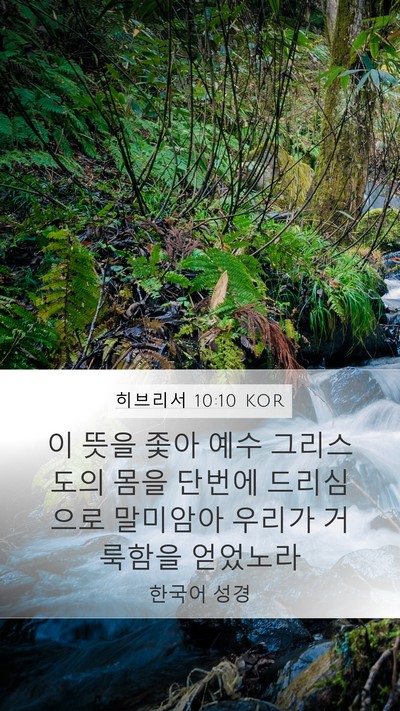 히브리서 10:10 KOR Bible Verse Image
