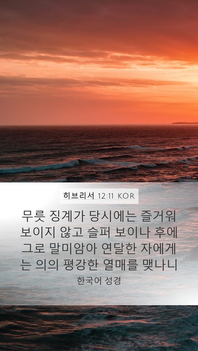 히브리서 12:11 KOR Mobile Phone Wallpaper - 무릇 징계가 당시에는 즐거워 보이지 - Mobile Bible Verse Wallpaper