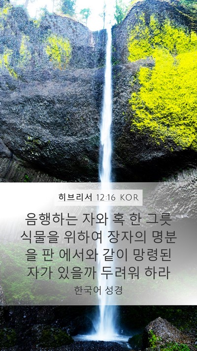 히브리서 12:16 KOR Bible Verse Image