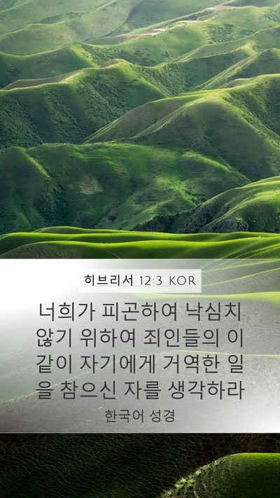 히브리서 12:3 KOR Bible Verse Image