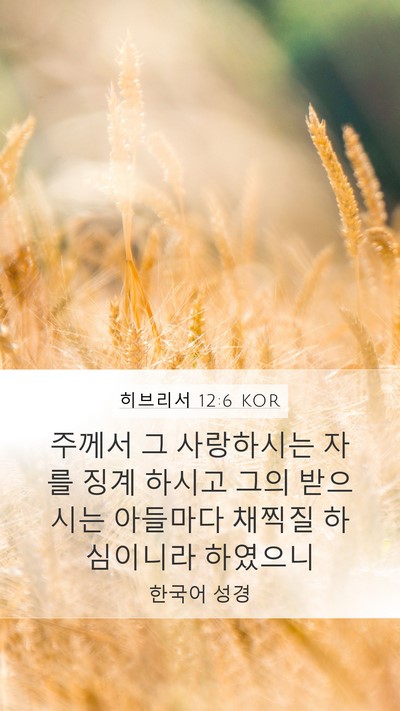 히브리서 12:6 KOR Bible Verse Image