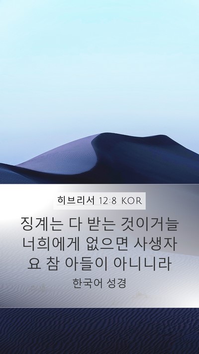 히브리서 12:8 KOR Bible Verse Image