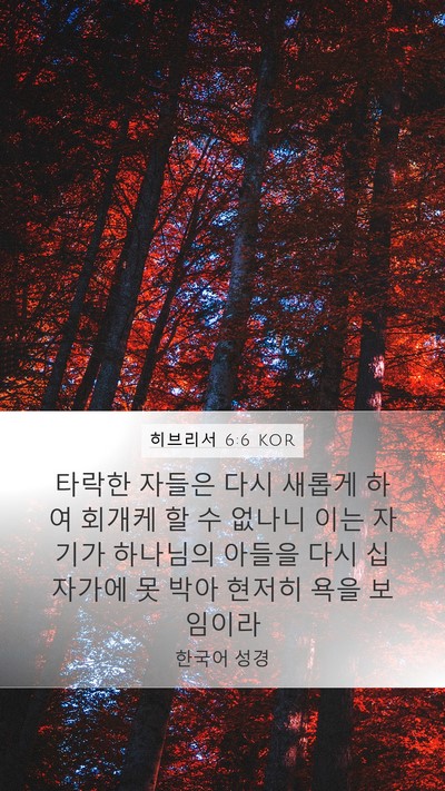 히브리서 6:6 KOR Bible Verse Image